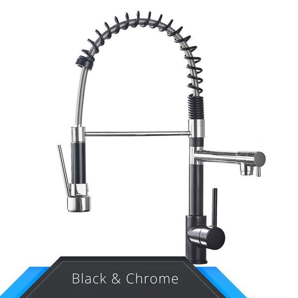 Rozin 3 in 1 Kitchen Faucet