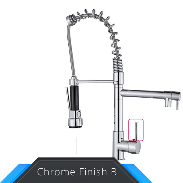 Rozin 3 in 1 Kitchen Faucet