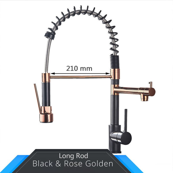 Rozin 3 in 1 Kitchen Faucet