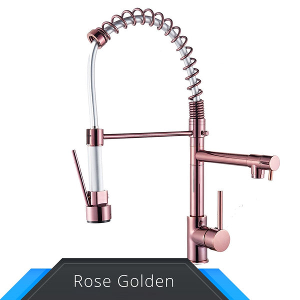 Rozin 3 in 1 Kitchen Faucet