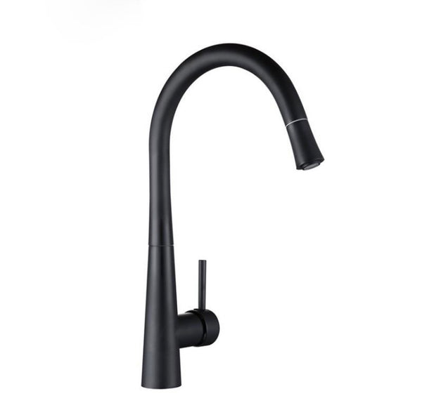 Pescoço Matte Black Kitchen Faucet