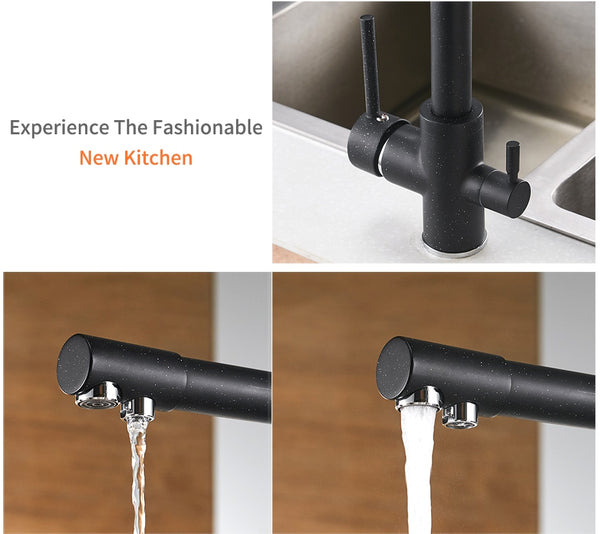 Kitchen Faucet with Water Purifier