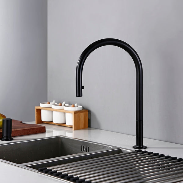 Canvi de Pal Kitchen Faucet