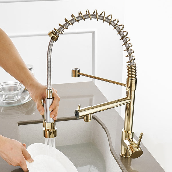 Cozinha 2 In 1 Kitchen Faucet