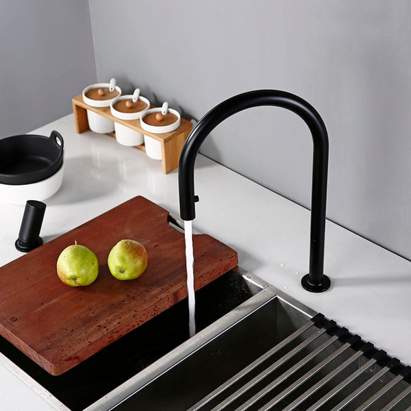 Canvi de Pal Kitchen Faucet