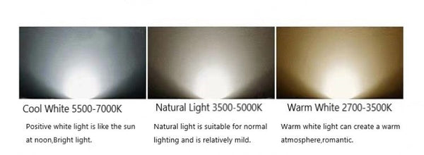 Waterproof Wall Lamp for Outdoor or Indoor Lighting