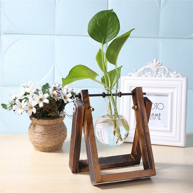 Plantar Hanging Vase