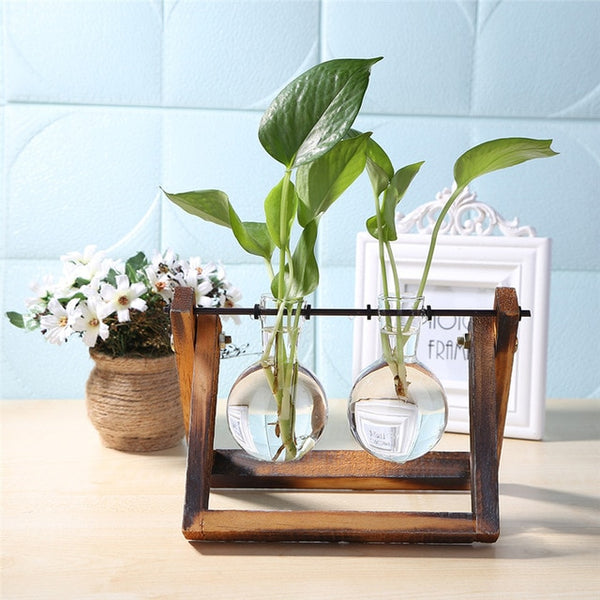 Plantar Hanging Vase