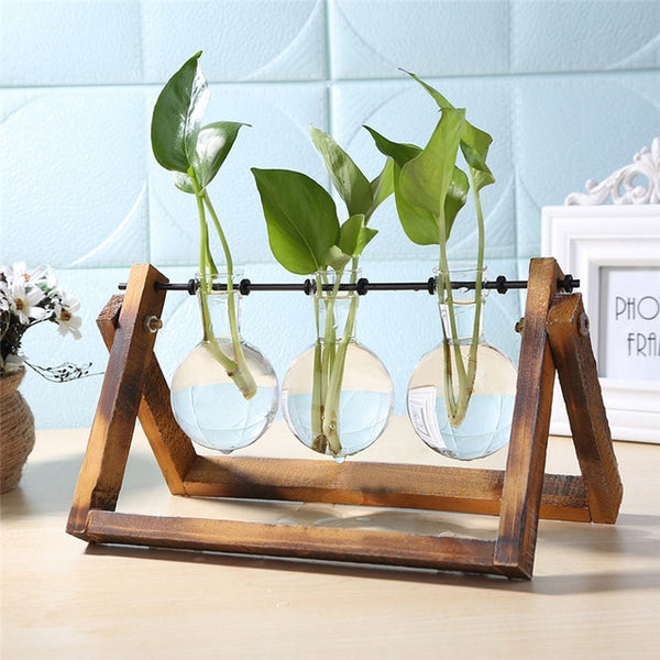 Plantar Hanging Vase