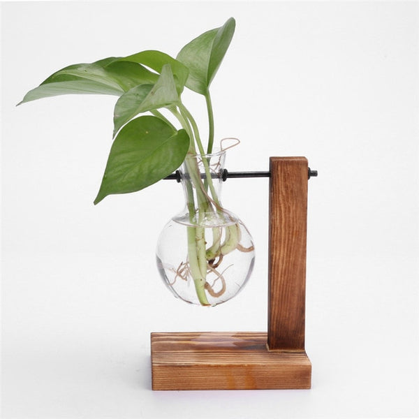 Plantar Hanging Vase