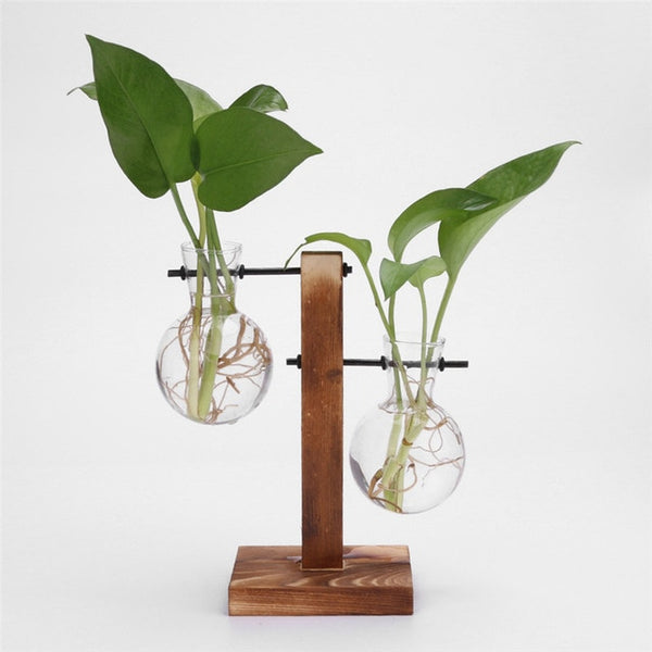 Plantar Hanging Vase