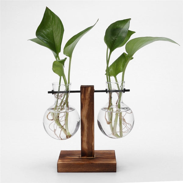 Plantar Hanging Vase