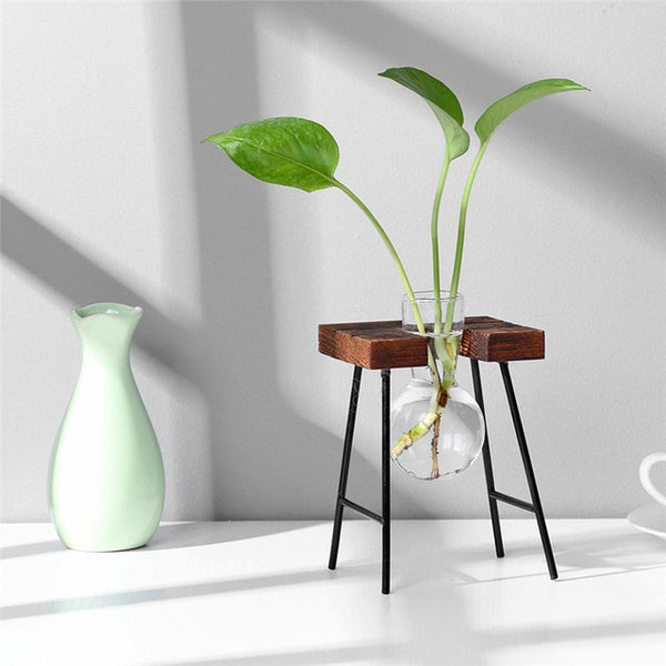 Plantar Hanging Vase