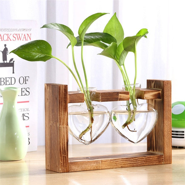 Plantar Hanging Vase