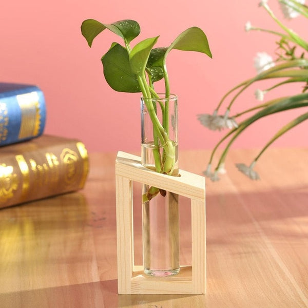 Plantar Hanging Vase