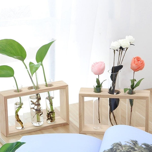 Plantar Hanging Vase