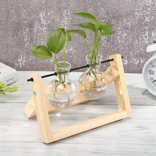 Plantar Hanging Vase