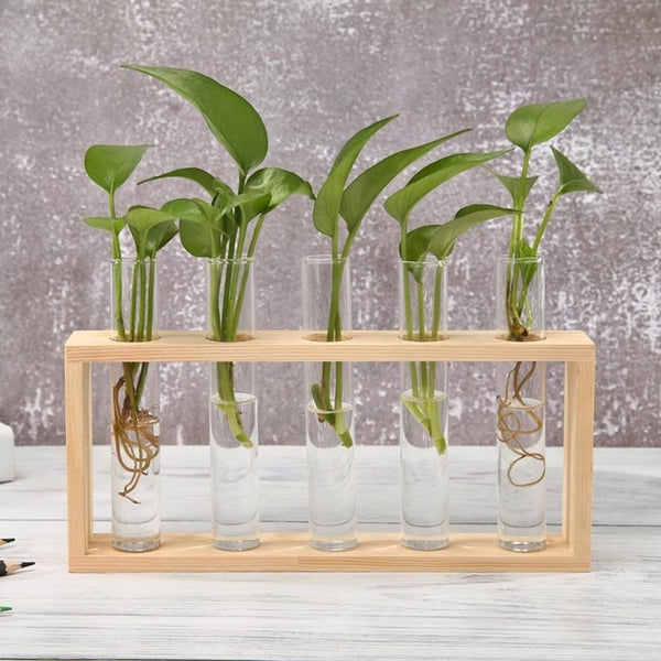 Plantar Hanging Vase