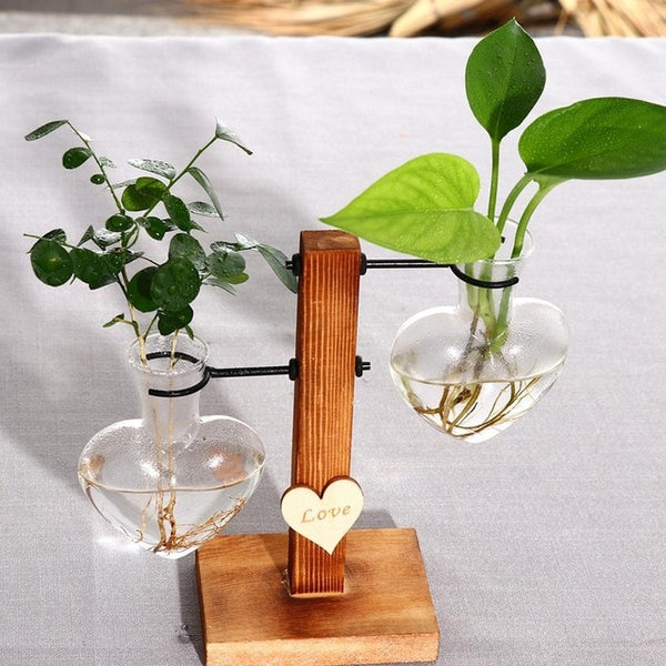 Plantar Hanging Vase