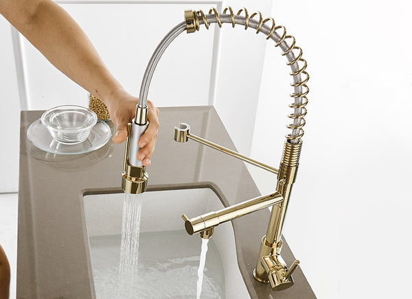 Cozinha 2 In 1 Kitchen Faucet